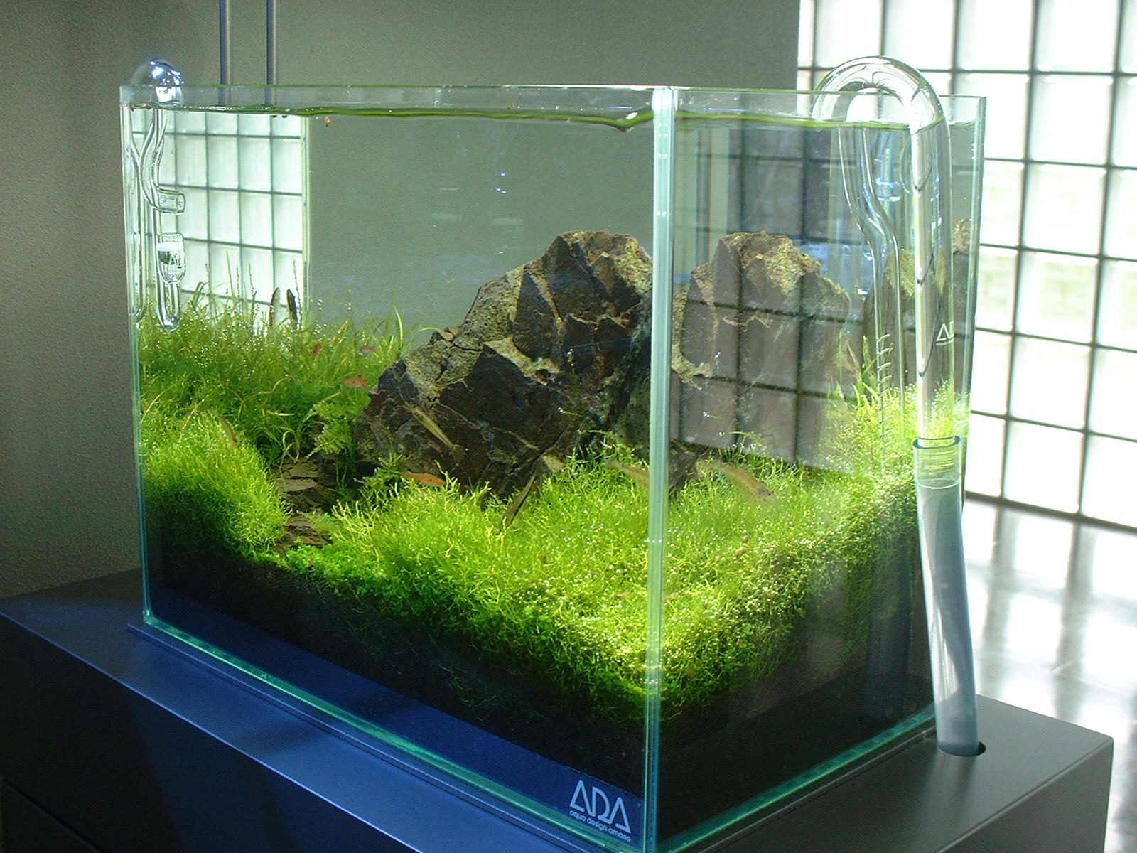決定しました）ADA 36cm水槽 一式 ADA 36cm水槽 ミニM水槽セット