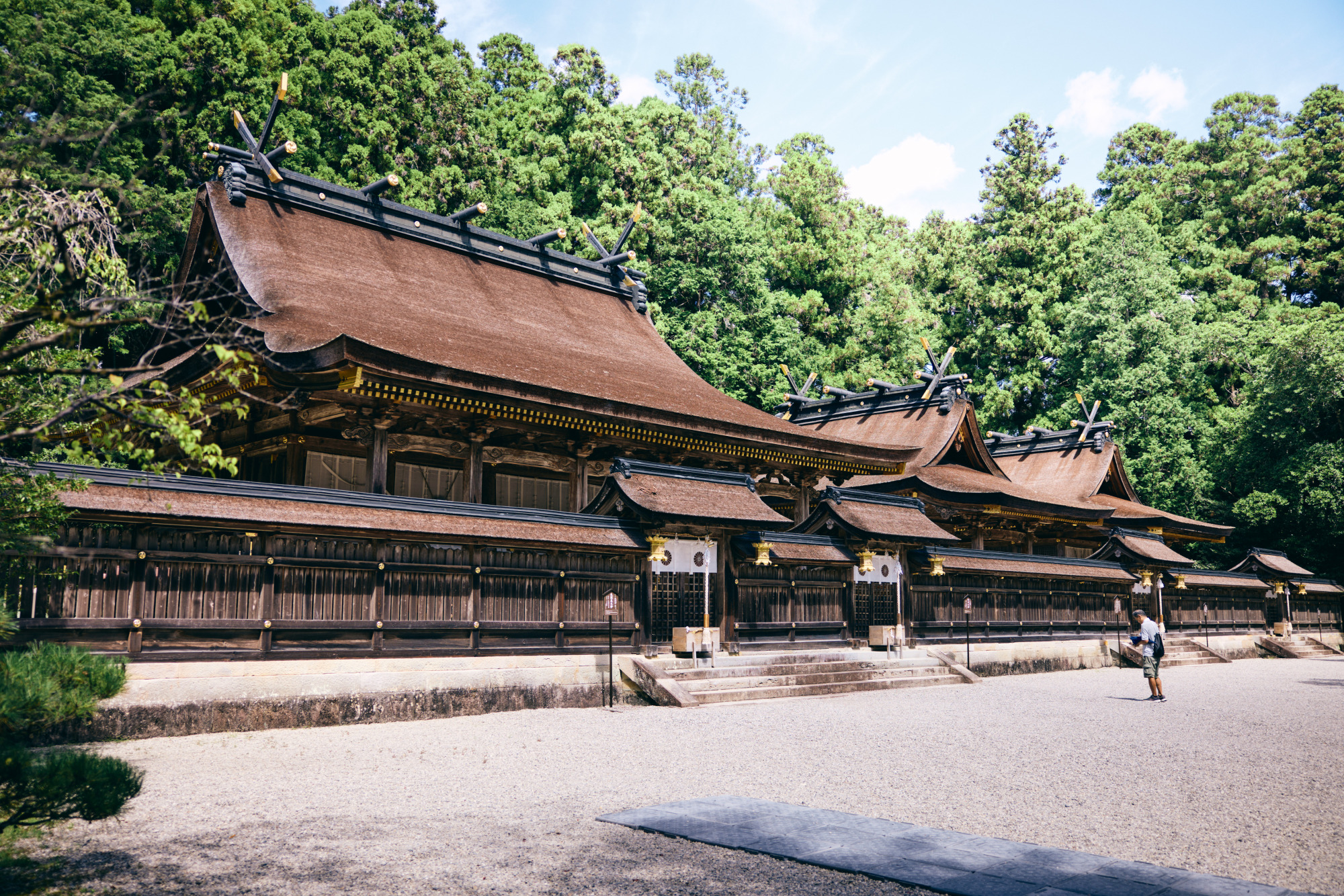 和歌山リアルとりっぷ東京発、2泊3日高野山―熊野をめぐる