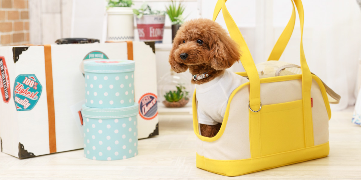 CARRY BAG（キャリーバッグ）／10カラー：Toto & Pal