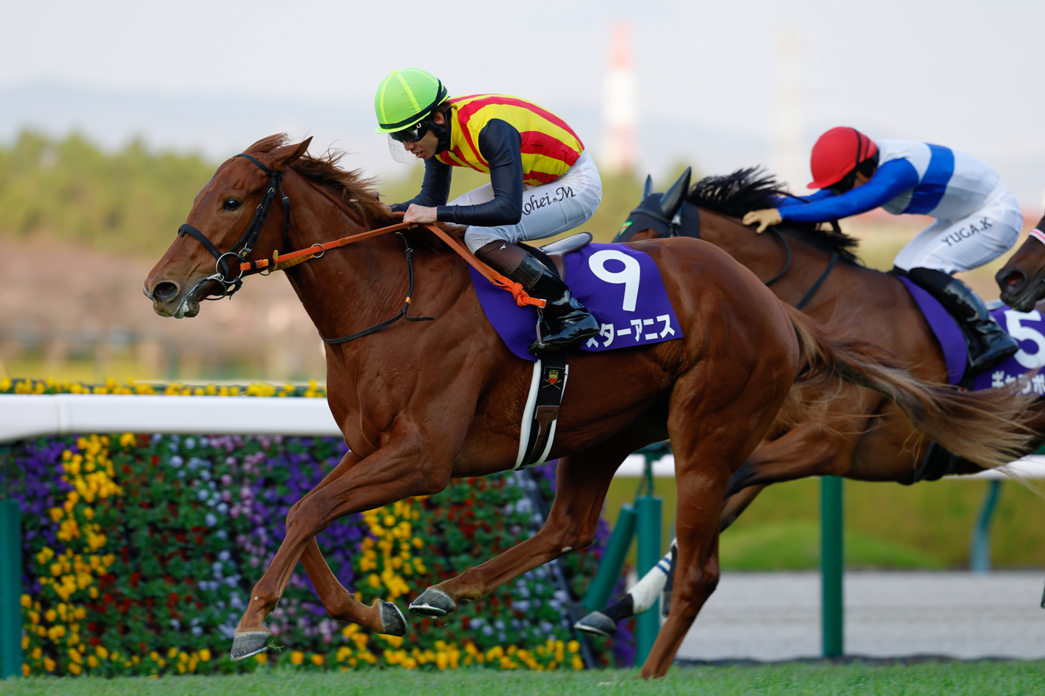 レースレコードタイで快勝。2歳牝馬チャンピオンはスターアニス(第77