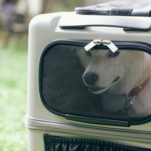 ペットキャリー T&S ico Lサイズ PETICO ペチコ グレー 未使用 ペット