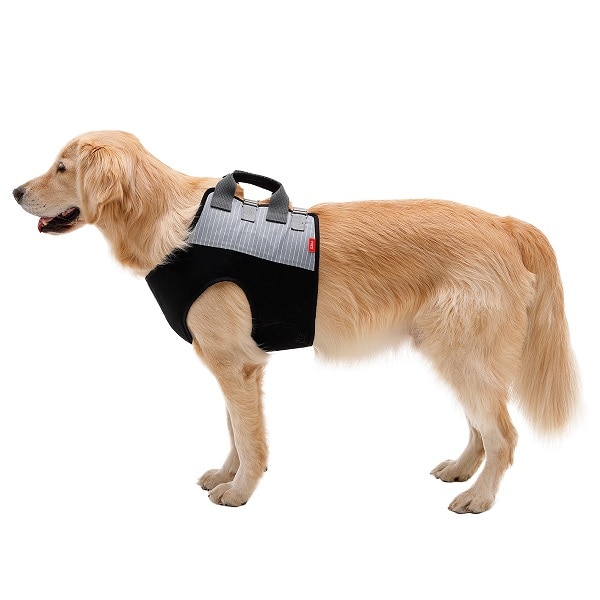 介助ベスト シックグレー | 歩行補助ハーネス LaLaWalk