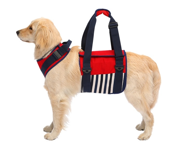 大型犬 英国高級 ハーネス リード カーラー(首輪) お散歩バック リボン