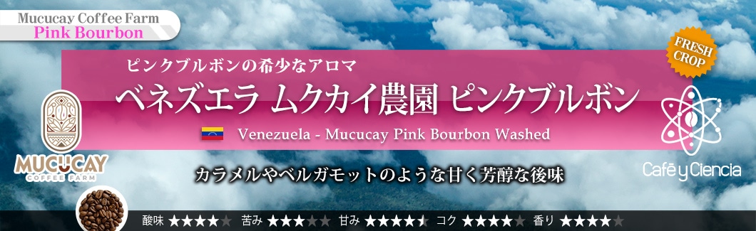 KAZUTAKA TOI】生豆 合計14kg KAZUTAKA TOI】生豆 合計14kg パナマ