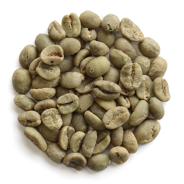 生豆限定】 スマトラアチェ コピ ルアック Tonya Selection （真空