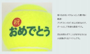 値下げしました！ブリヂストン XT8 テニスボール 2個入り缶