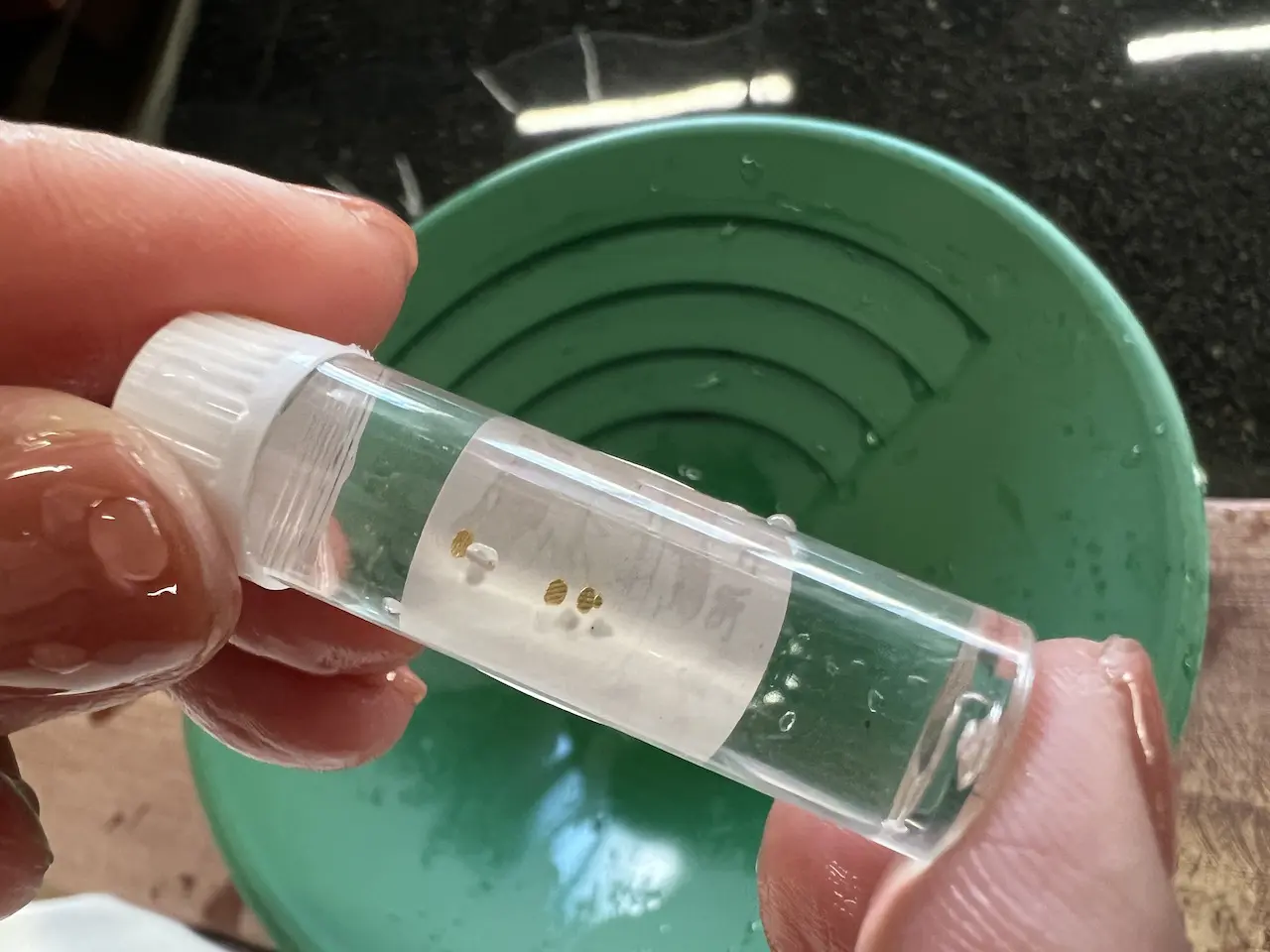 土肥金山砂金73粒 土肥金山砂金73粒｜土肥金山砂金73粒 土肥金山砂金73粒