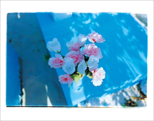 蜷川実花 BABY BLUE SKY - 1 BABY BLUE SKY | 蜷川 実花 |本 | 通販