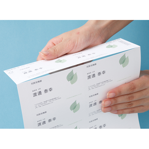 たのめーる】エーワン マルチカード 各種プリンタ兼用紙 白無地 A4 10