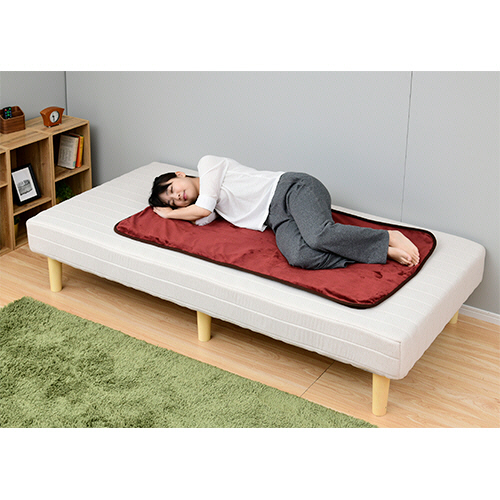 たのめーる】YAMAZEN 寝る消臭元 電気敷毛布 エンジ YKSG-F30(EN) 1枚