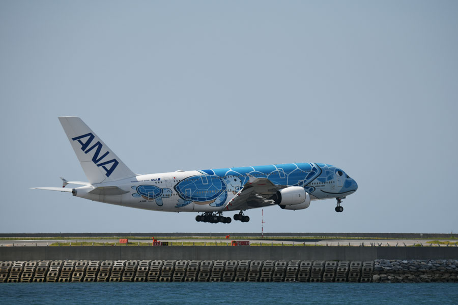 ANA A380 フライング・ホヌ 3機セット【1/500・新品送料込み
