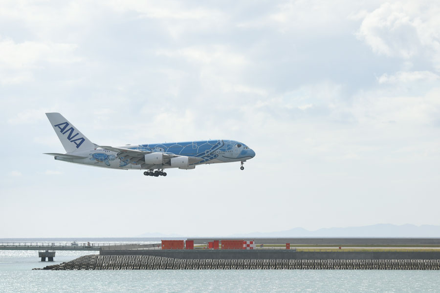 飛行機模型✕3機 フライングホヌ/那覇沖縄 飛行機模型✕3機 フライング