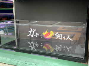 アクリル水槽 二面ブラック W900 D700 H400 ワンオフ 佐川急便発送