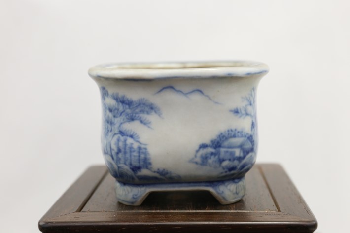 ミニ盆栽鉢 桑津香石 絵鉢 長方形 岩波 鳥 かもめ 小品盆栽 送料無料