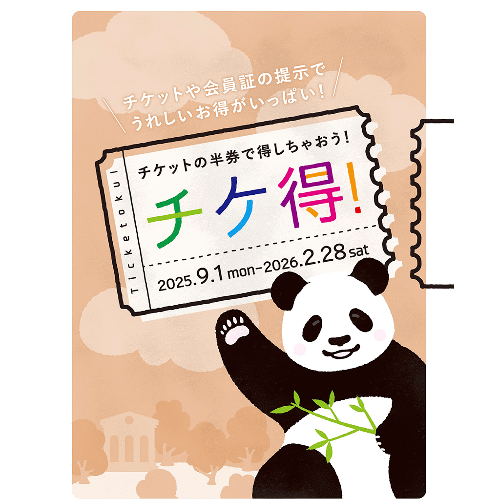 チケットの半券で得しちゃおう！チケ得！