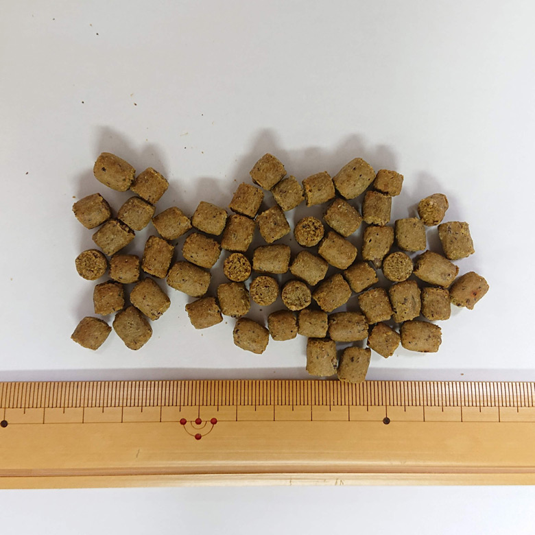 国産ドッグフード ZEN プレミアムドッグ グレインフリー しらす