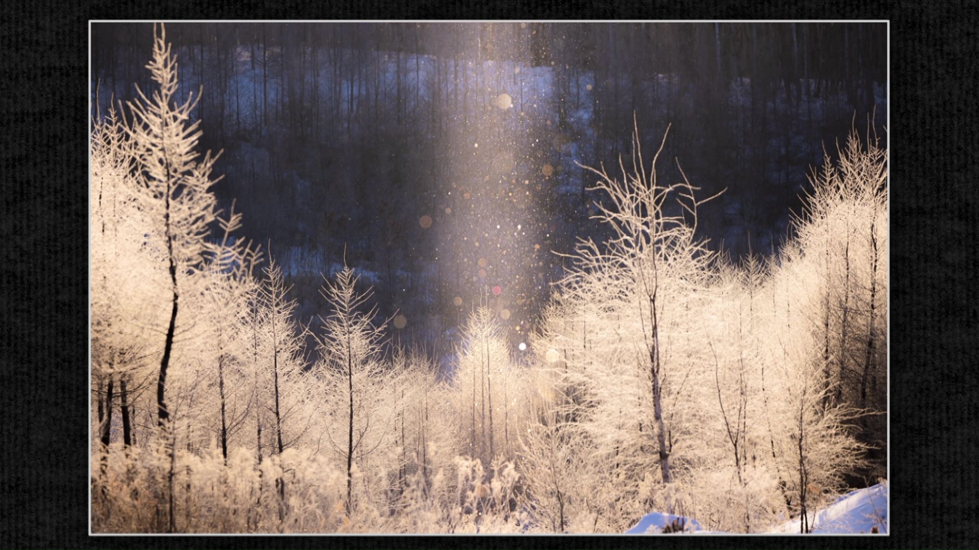 北海道の知られざる絶景2025】“奇跡の一瞬”を追い続ける風景写真家