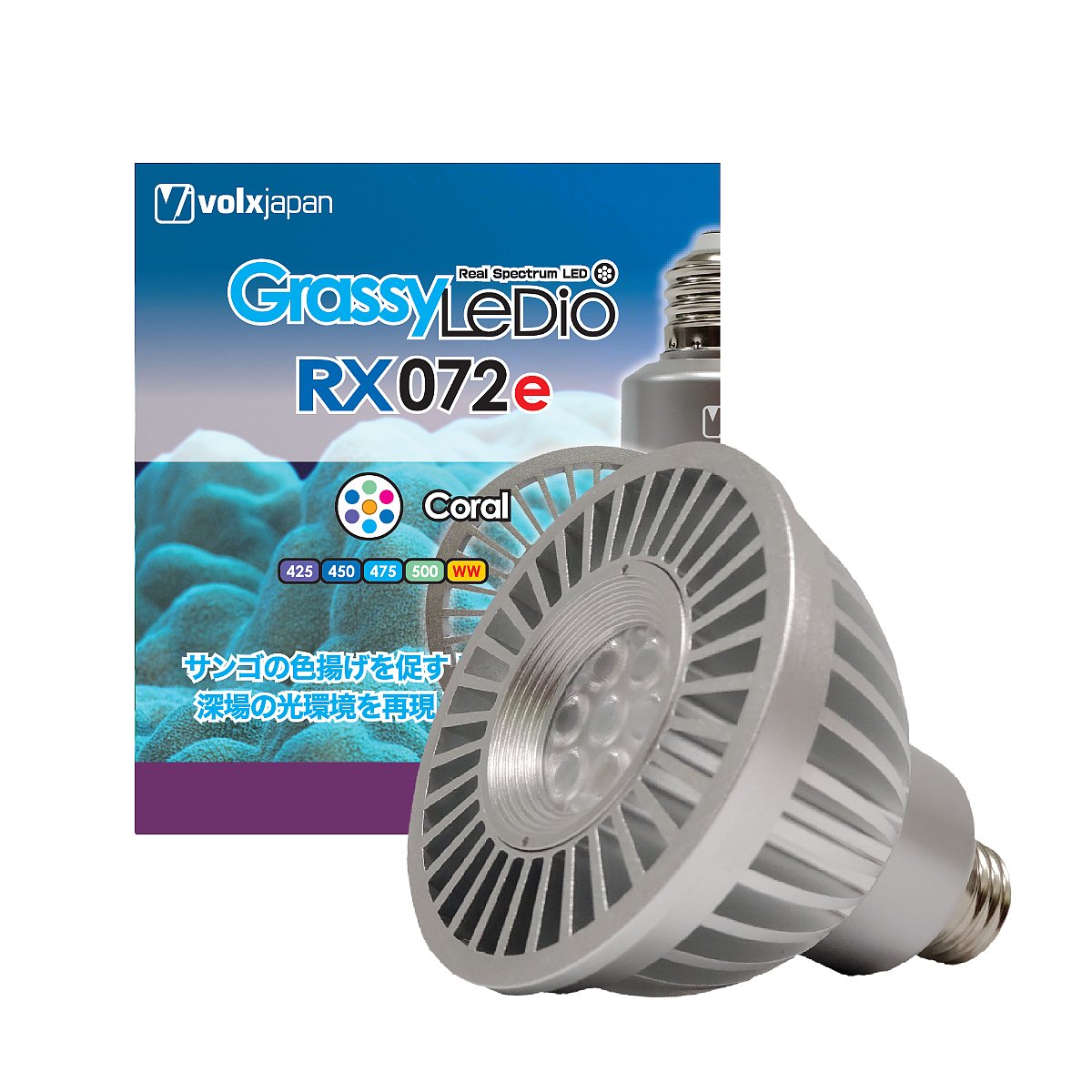 GrassyLeDio RX072e Coral - ボルクスジャパン ダイレクト