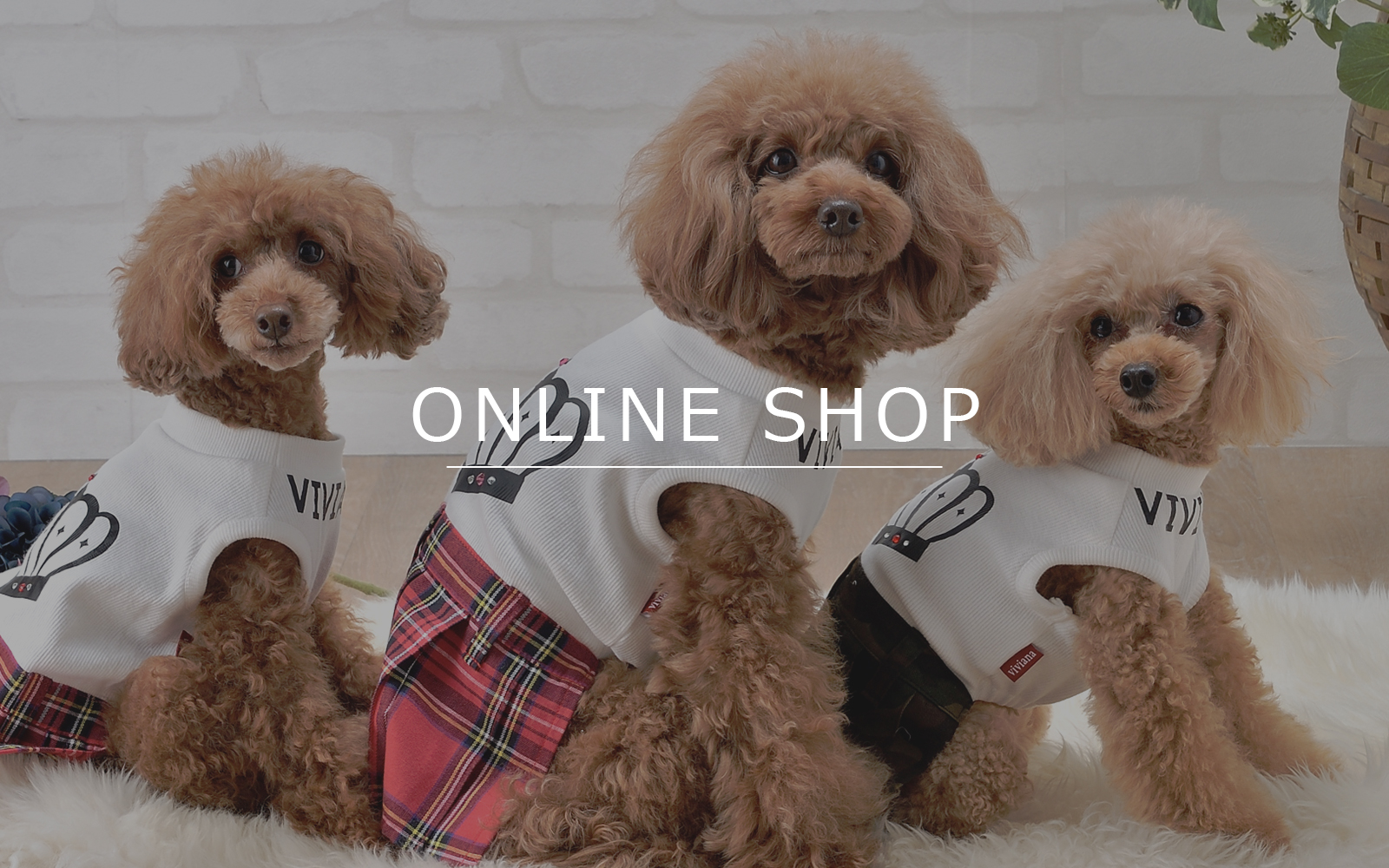 DOG WEAR | VIVIANA