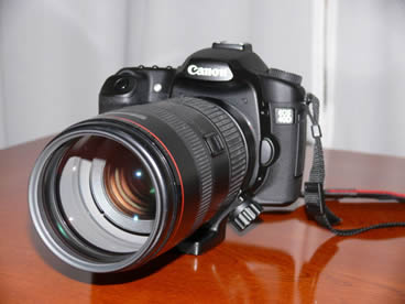 canon EF80-200 f2.8L Canon EF 80-200mm F2.8 L 腐ってもL？』