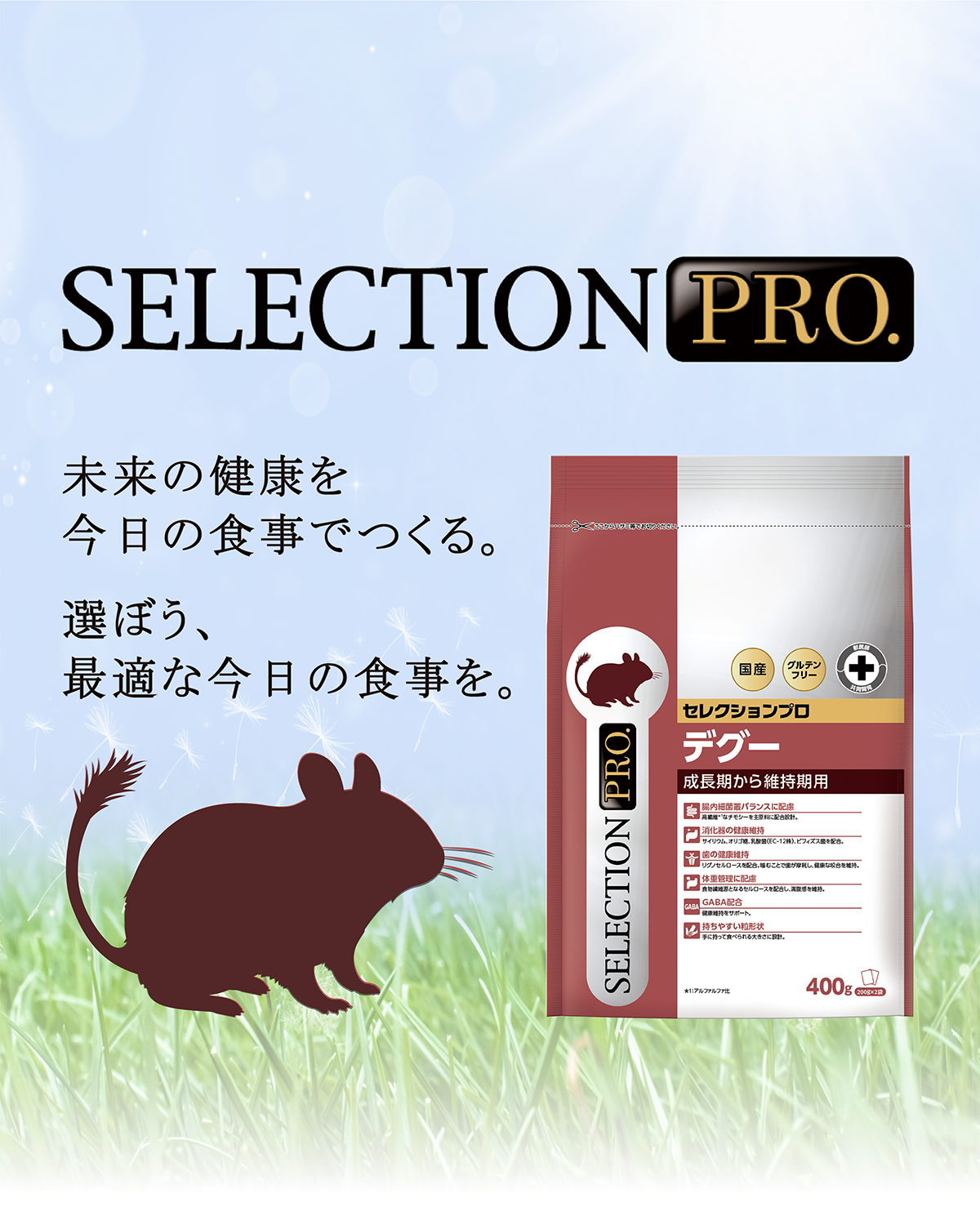 DEGU SELECTION PRO.｜ブランドサイト ― TOP