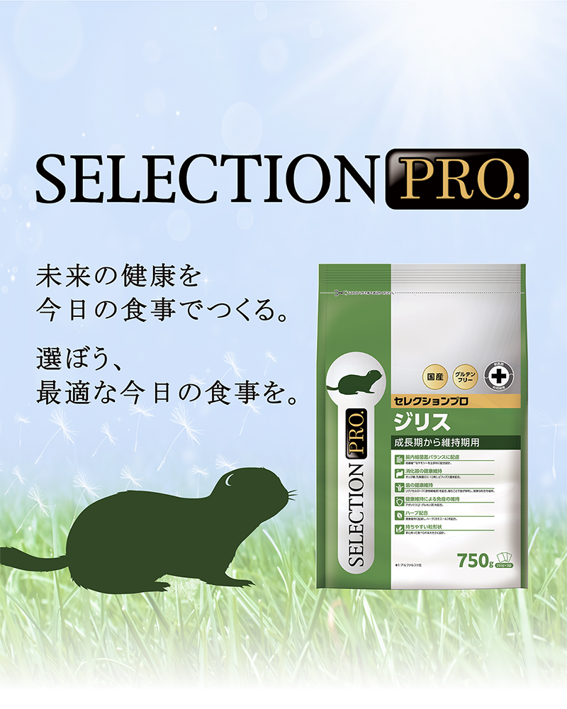 GROUND SQUIRREL SELECTION PRO.｜ブランドサイト ― TOP