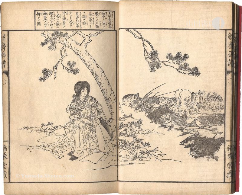 浮世絵(引札)薬膳堂三藥、鮮斎永濯画(小林永濯)明治初期～中期時代出版