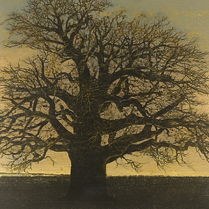 真作保証】星襄一「赤い木」1973年 木版画 直筆サイン 版画 絵画