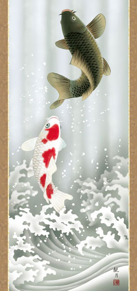 美品 掛け軸 広森耕仁作 夫婦鯉の滝登り図 共箱 太