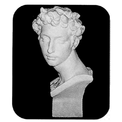 メディチ石膏像 デッサン首像 【公式通販】