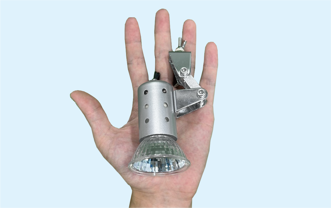 将来さん樣專用珊瑚 将来さん樣專用珊瑚 将来さん樣專用珊瑚 将来