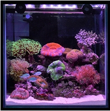 アンダーウォーターLEDスリム｜ゼンスイ株式会社