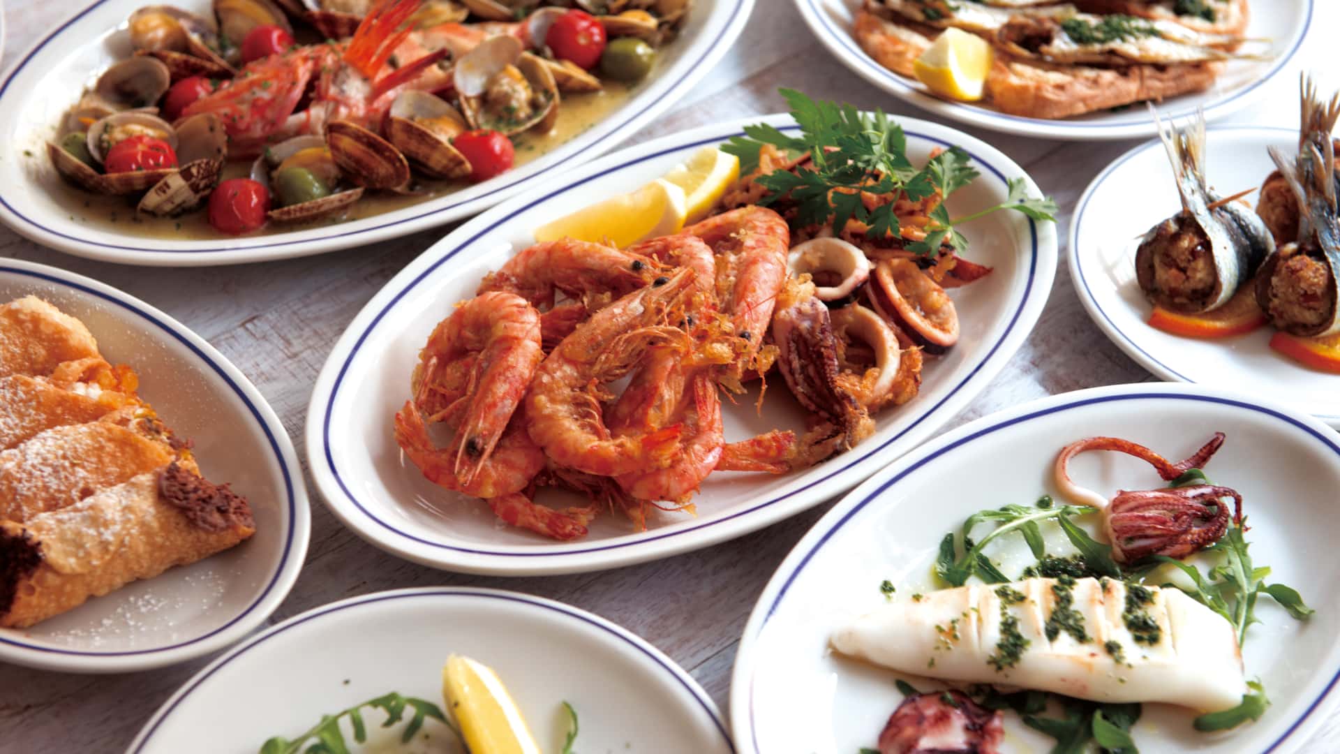 saturnia（サタルニア）日本公式 | ZAKKAWORKS