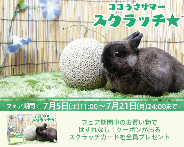 うさぎ。ページ ウサギ☆ 兎 うさぎページ うさ@ページ まっきーページ