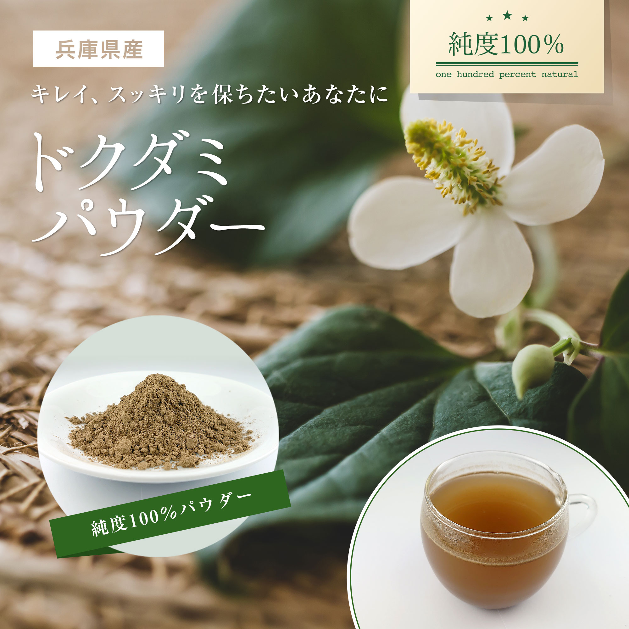 みー連絡用画面】#515 乾燥どくだみ どくだみ茶 開花期 2025年産 みー