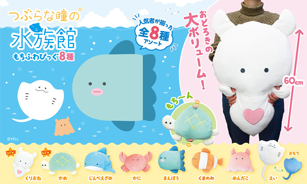 つぶらな瞳の水族館 バラ売り つぶらな瞳の水族館 | Yell World