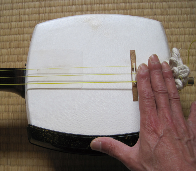 昭和三味線細棹弦25本ハ―ドケ―ス付き