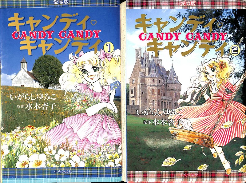 ⭐︎初版⭐︎キャンディキャンディ 愛蔵版全2巻 ケース付き