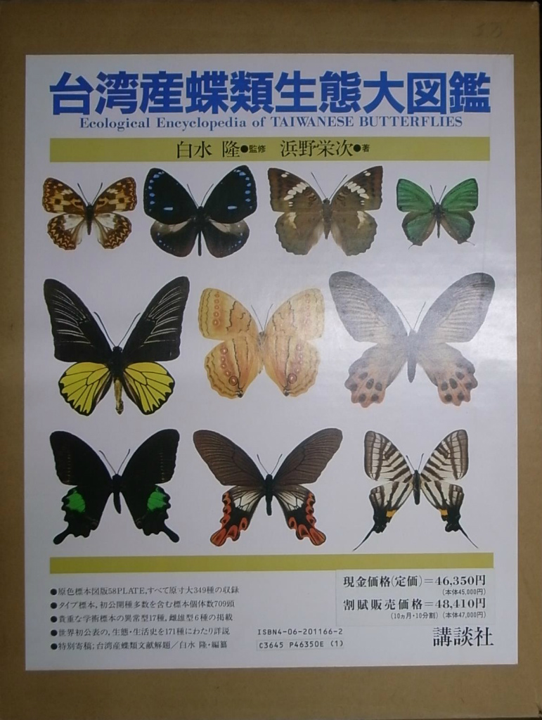 1960年代当時物】☆蝶類標本☆『台湾産蝴蝶1/2』☆本物