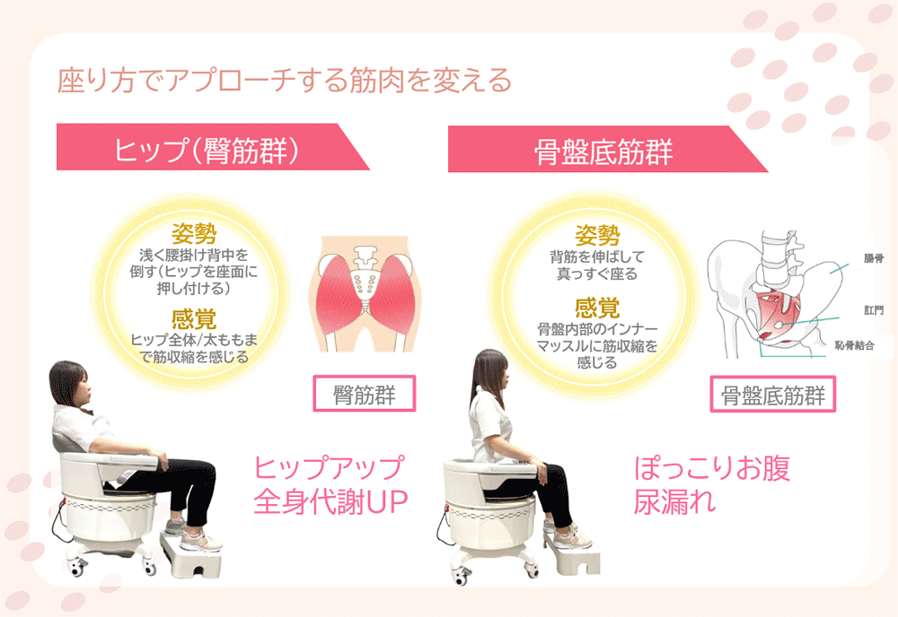 電磁パルス骨盤シートのみ 骨盤底筋トレーニングチェア | 業務用セルフ
