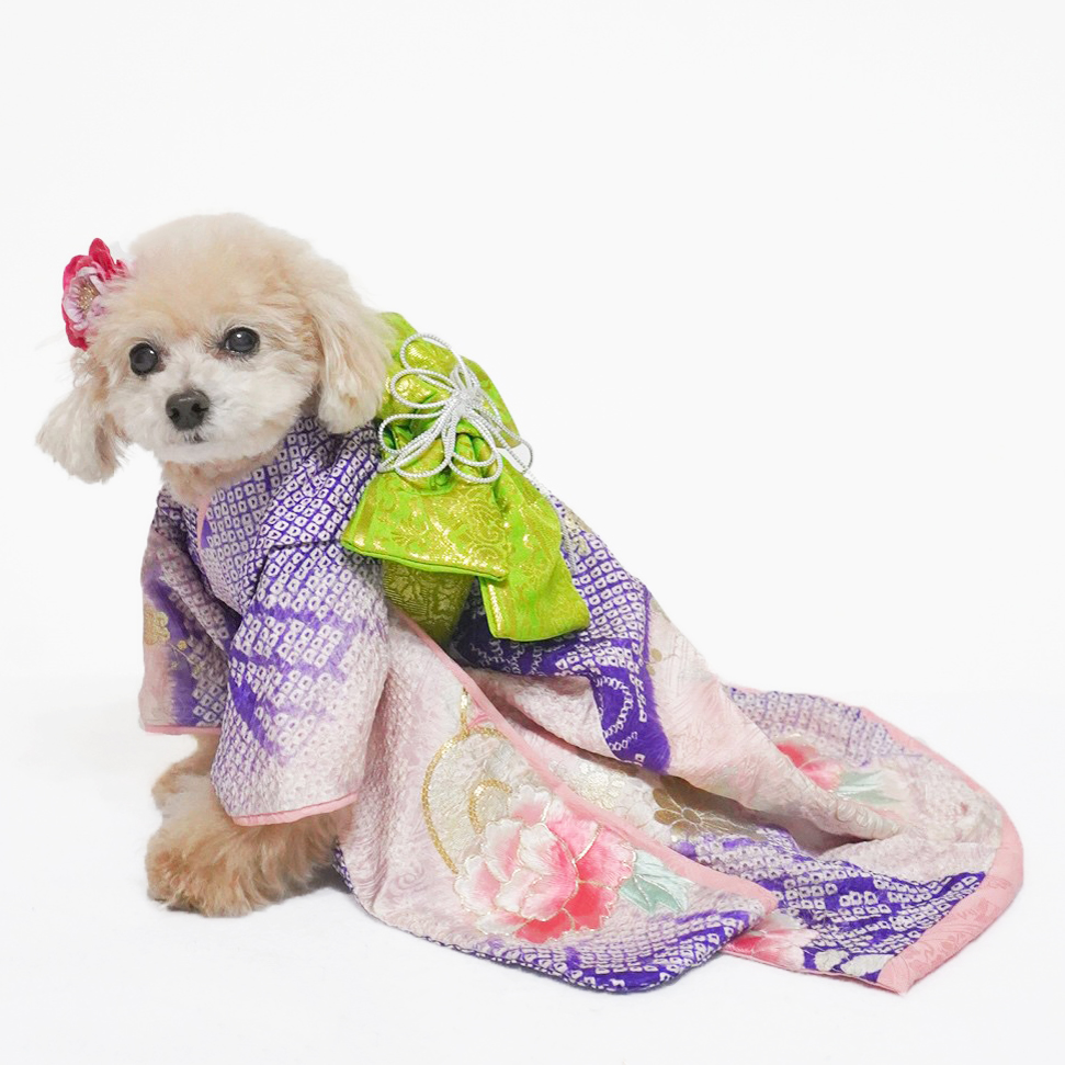 犬猫服1点限り お引きずりの大振袖SSサイズ oh-60 | 犬服・猫ペット服