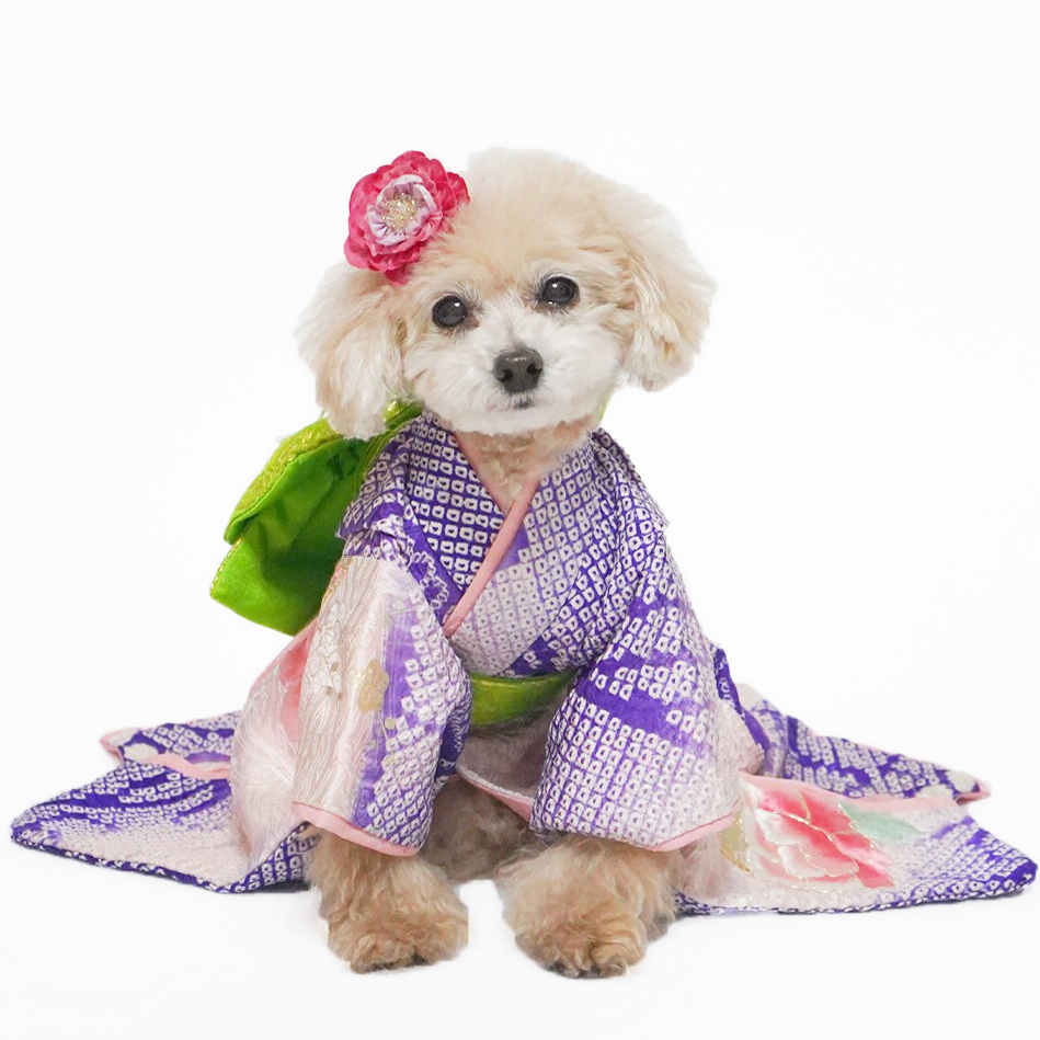 犬猫服1点限り お引きずりの大振袖SSサイズ oh-60 | 犬服・猫ペット服