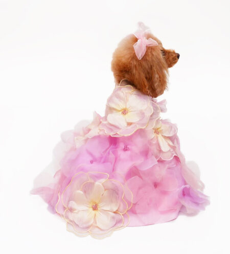 希少・未使用】for pets only ローズピンク ドレスMサイズ 犬服 希少