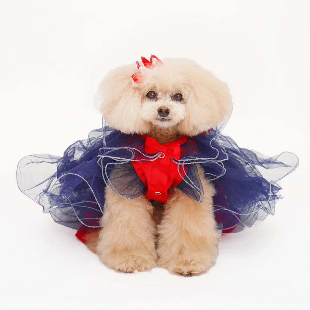 ブラックレース オーダーページ ∞TuTu∞ 犬服 ハンドメイド 犬の洋服