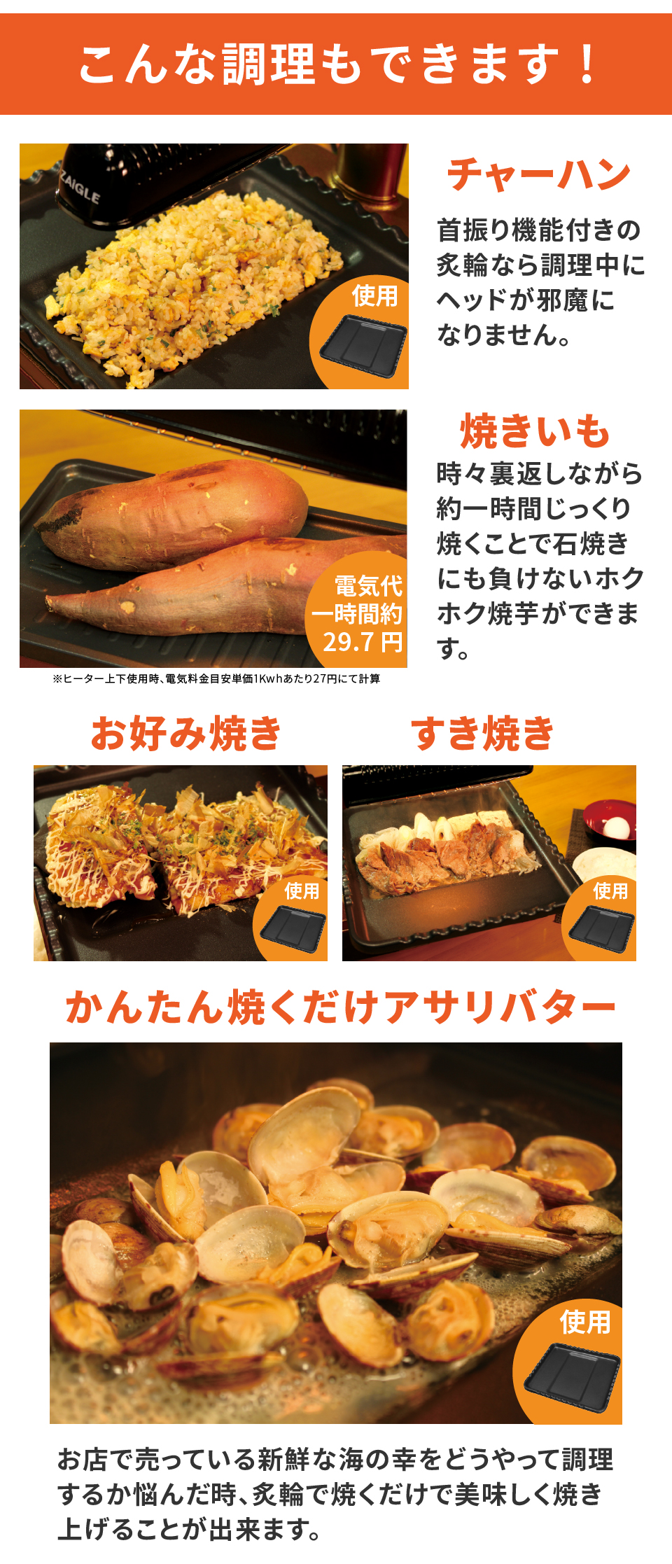 ZAIGLE ザイグル 炙輪 あぶりん GOLD ワイドプレート付き