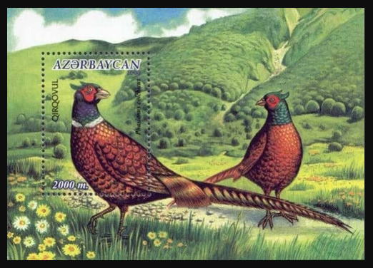 エアメール キジ切手 銭単位切手 エアメール キジ切手 銭単位切手 2025