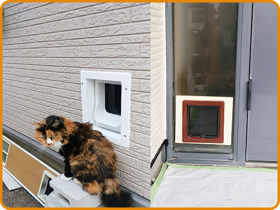 ペットドア訪問取り付けのご依頼なら関東・関西首都圏対応｜アカシヤ