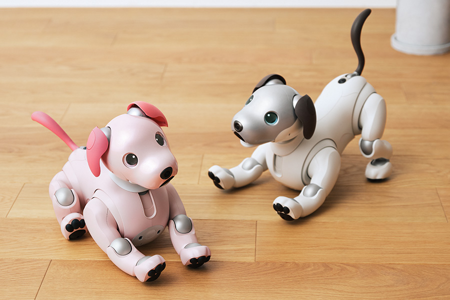 aibo いちごミルク エディション | aibo