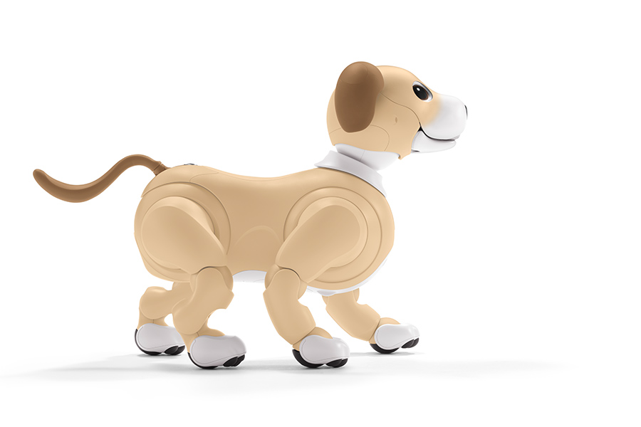 aibo きなこ エディション | aibo