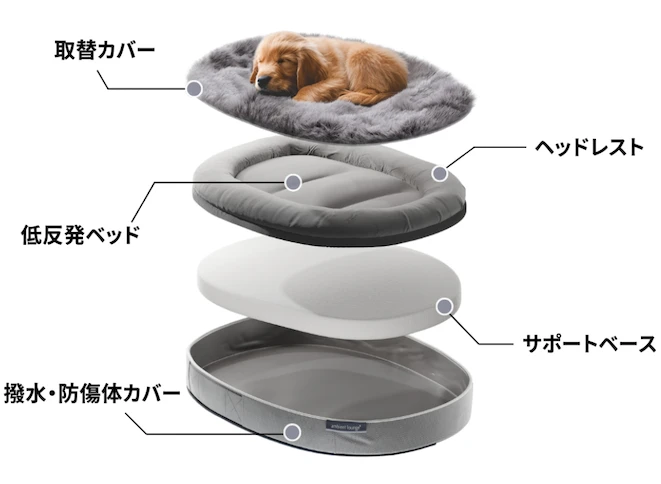 公式】 Dika Test - Pet Lounge Product - アンビエントラウンジ